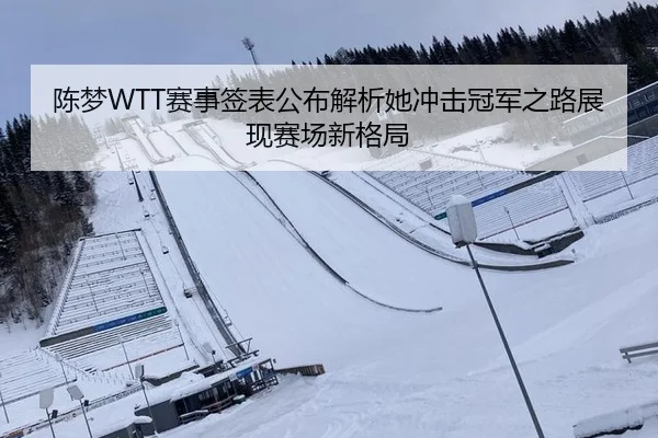 陈梦WTT赛事签表公布解析她冲击冠军之路展现赛场新格局